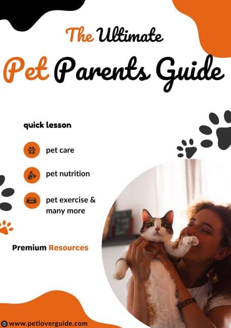 the-ultimate-pet-parents-guide